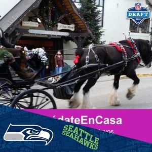 Meet your Posher, Daniel